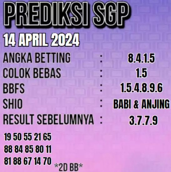 SYAIR SGP VIP